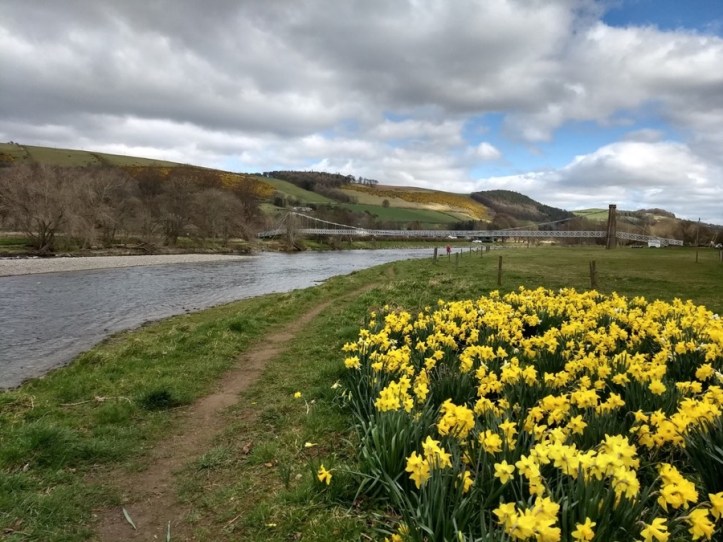 IMG_20190326_120725882_HDR