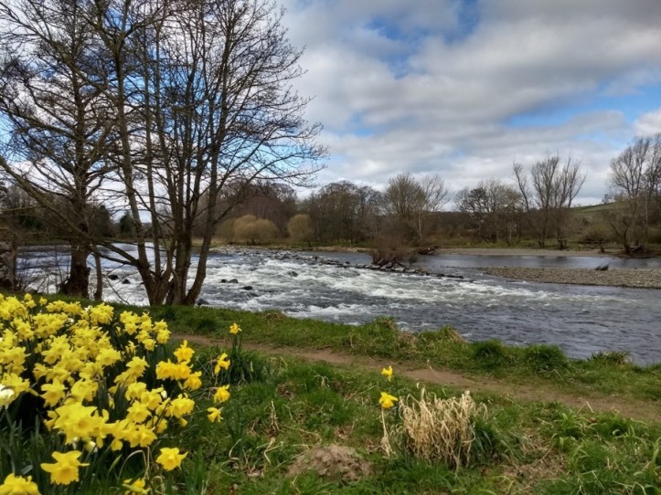 IMG_20190326_120754990_HDR