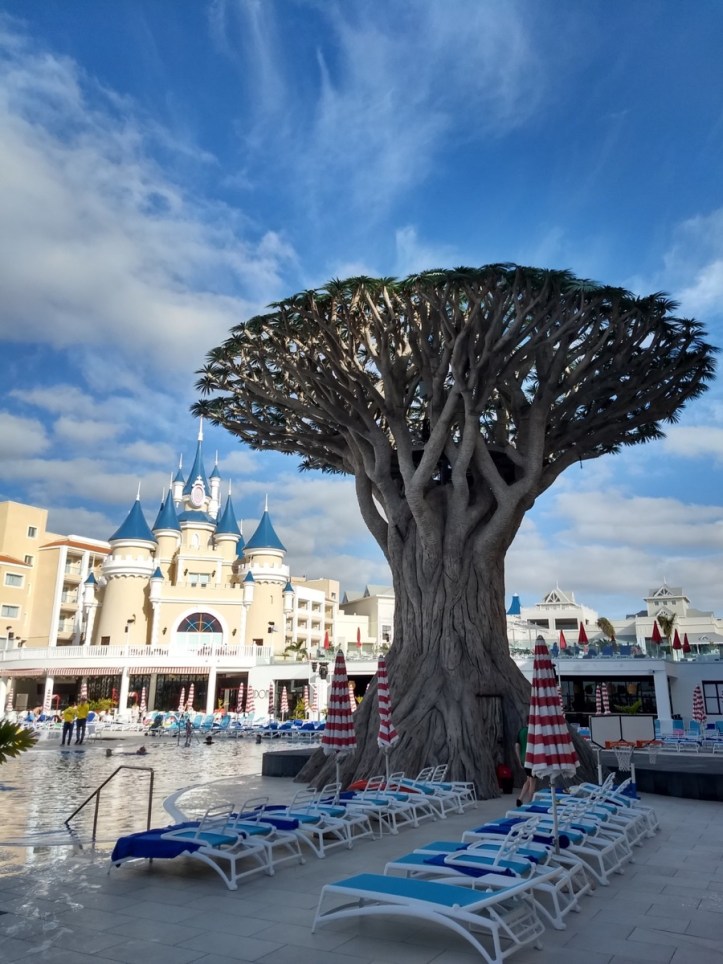 IMG_20190411_095130896_HDR